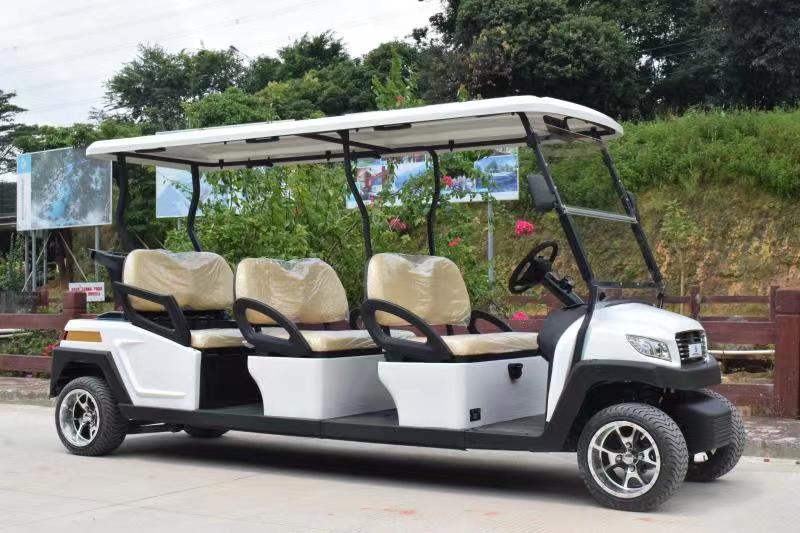 6座荔枝视频APP黄高爾夫車M1S6