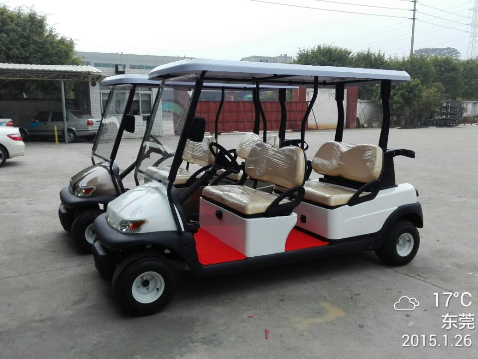 4座荔枝视频APP黄高爾夫球觀光車
